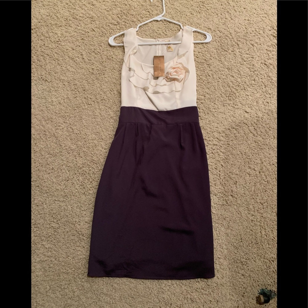 NWT Paisley and Ivy cream and grey dress